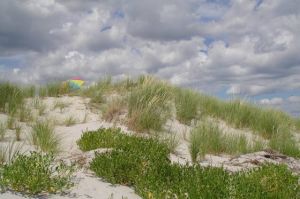 Seeking sandy sightsPhoto contest looking for the best N.J. beach pictures