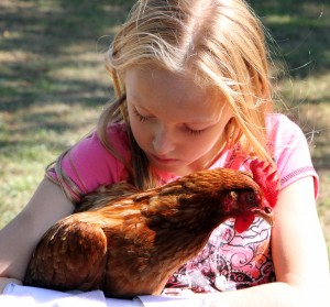 Chickens77510013.jpg