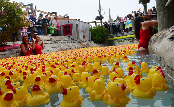 UNITED WAY DUCK REGATTA
