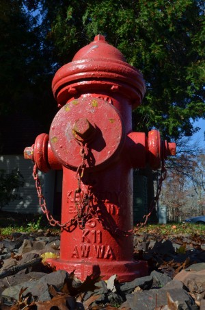 test4Private hydrants 1