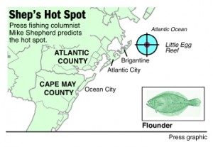 Shep Hot Spot flounder Little Egg Harbor Reef