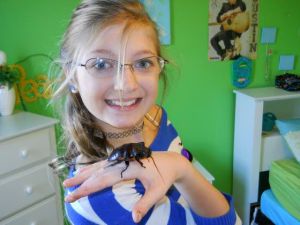 Loved bugs: Some insects make good pets
