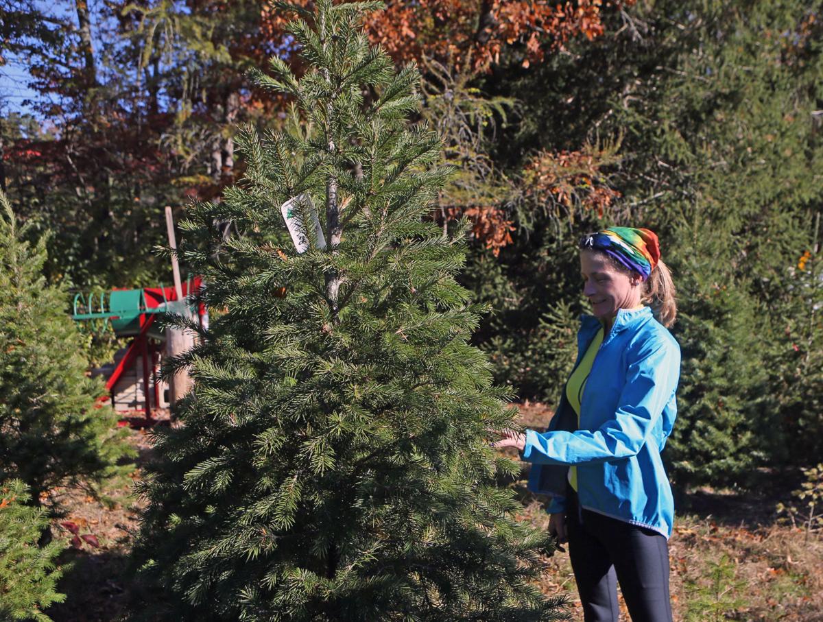 tree shop mays landing nj 28 images tree shop mays landing 28 images mays landing golf tree tree shop mays landing nj 28 images tree shop mays landing 28 images mays landing golf tree