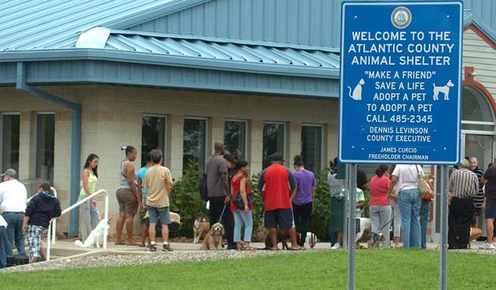 Rabies vaccinations  as necessary as ever