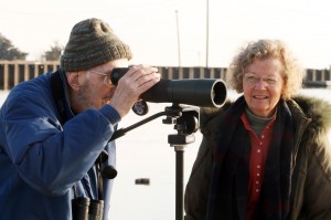 Christmas Bird Count