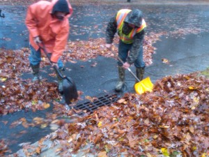 drains