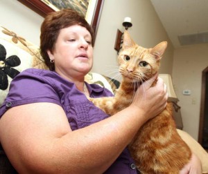 High-tech pet adoptions
