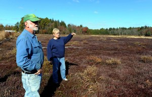 test4Cranberry Harvest81645032.jpg