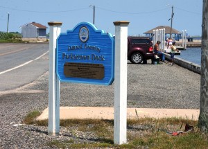 municipal docks