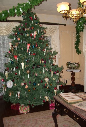 Christmas tree.jpg
