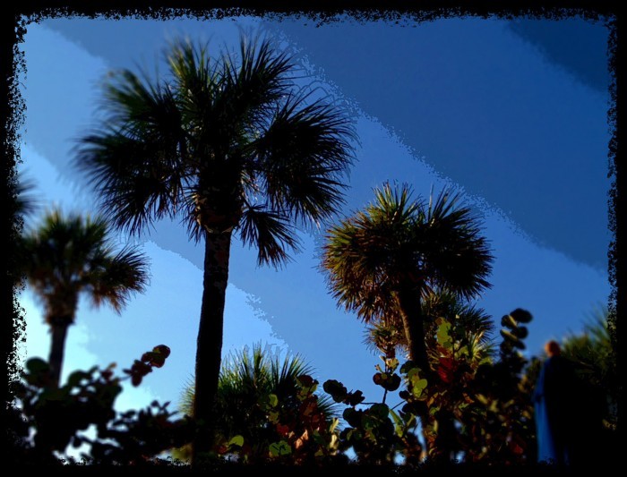 Iphone photo