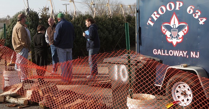 egap d5 trees113111578.jpg