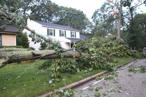 Storm Damage Photo Gallery