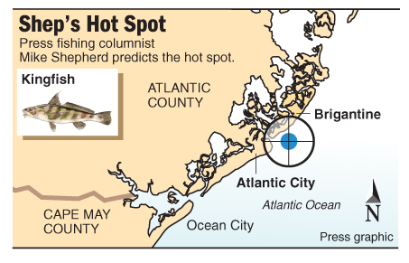 Hot Spot kingfish Atlantic City