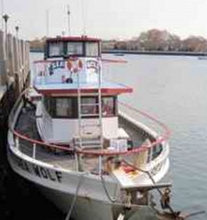 Sea Wolf
