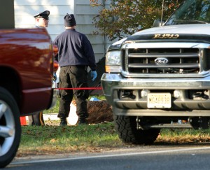 Tree Accident81004018.jpg