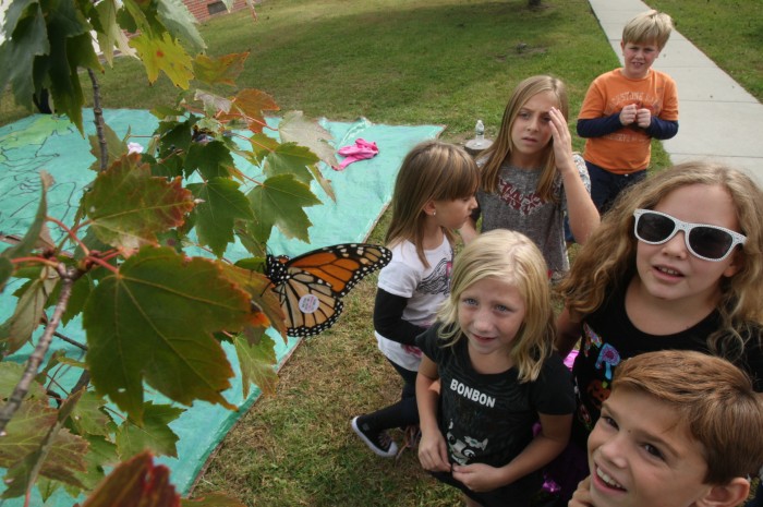 sandy monarchs