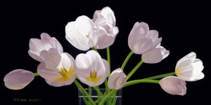 Painter's realistic flower exhibit heads to Ocean Galleries in Stone Harbor