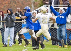 Gami at Oak
