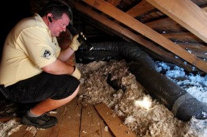As a chill fills the air, pests are looking to 'move in' with you