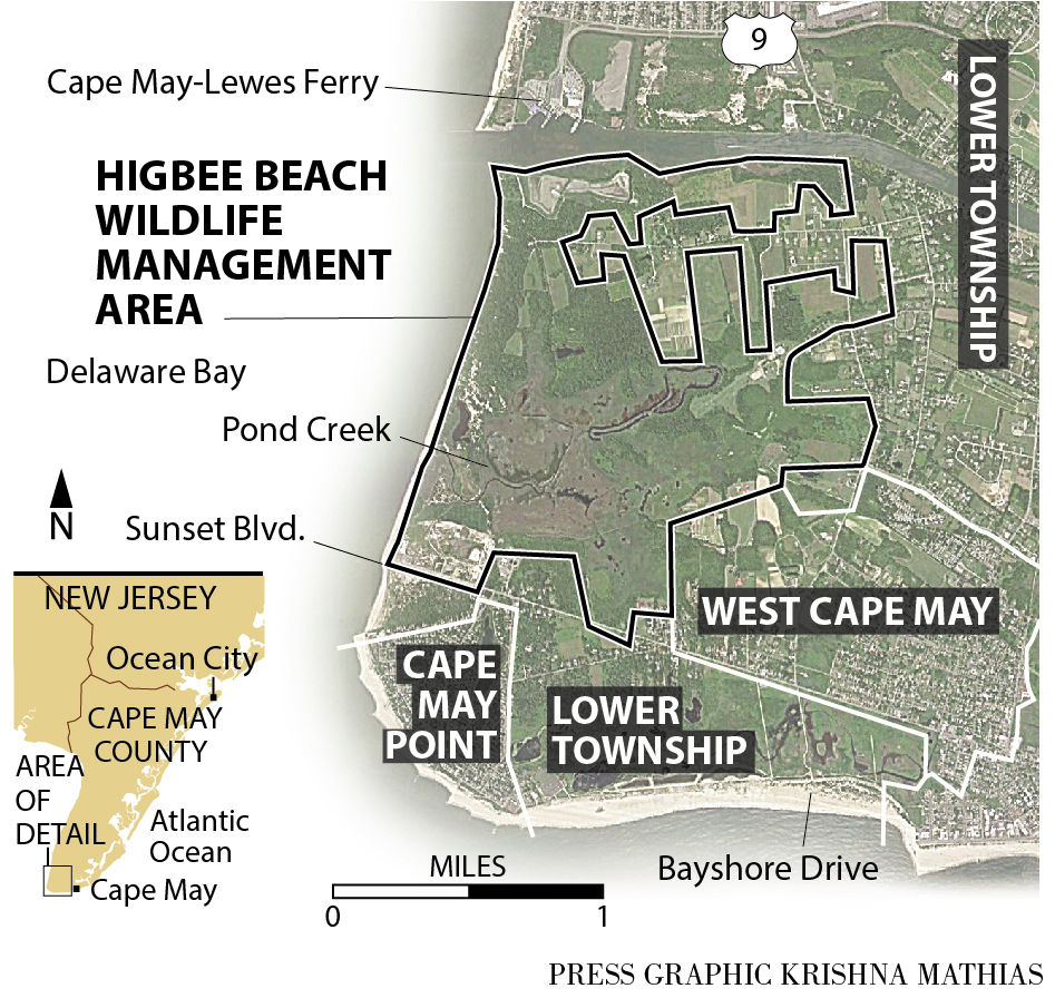 State looking to restore tidal flow near Higbee Beach News