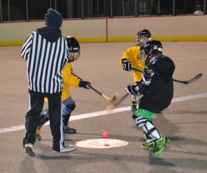 acbp j02 brig hockey league