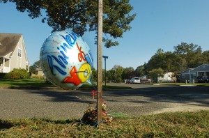 hit and run folo