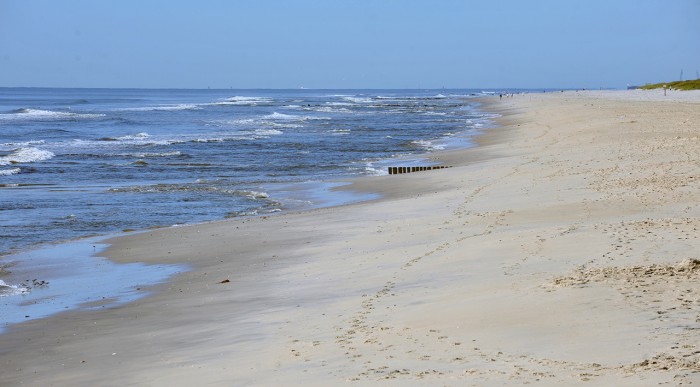 BEACH FILLS
