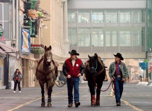 boardwalk rodeo press conference