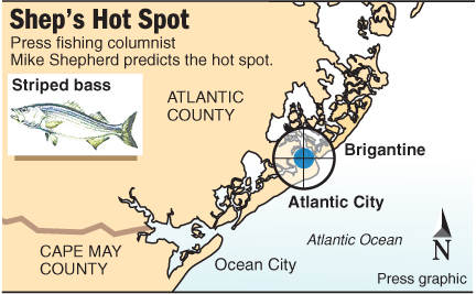 Shep's Hot Spot