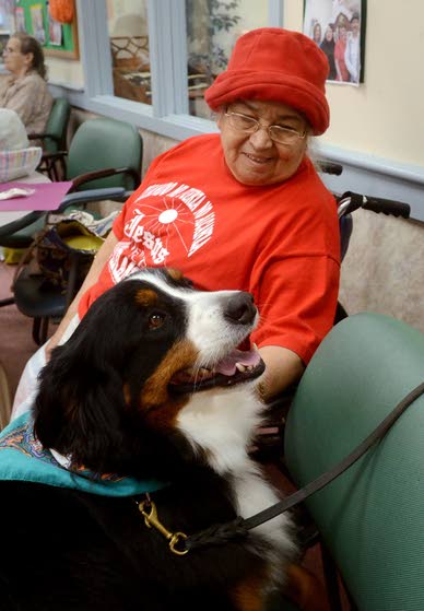 Healing on four legsTherapy dogs help patients in need of contact and affection