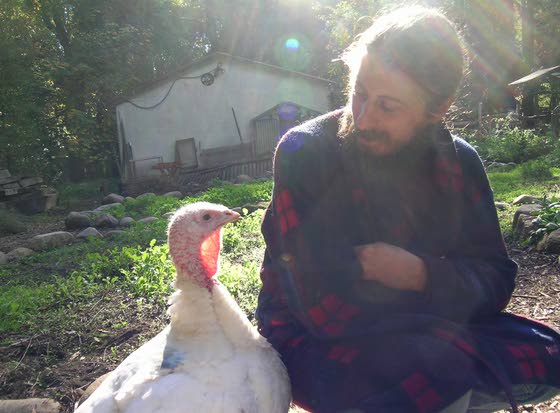 To eat a turkey or to feed it?