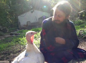 To eat a turkey or to feed it?
