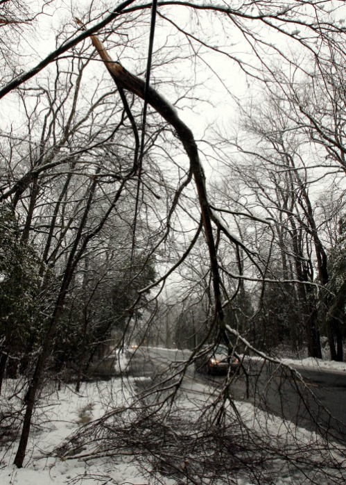 Cape Snow