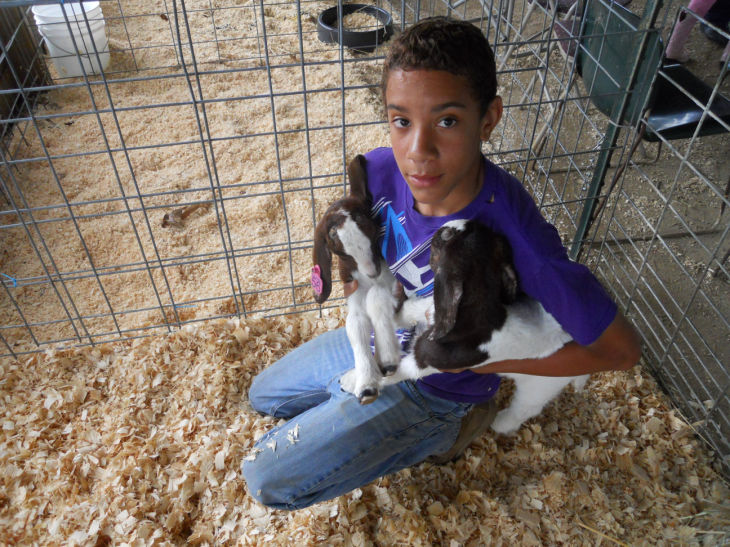 Cumberland County Fair
