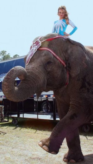Cole Bros. Circus