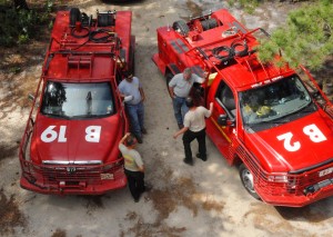 forest firefighters