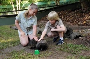 Little Croc Hunters top lineup on YouTube pet channel