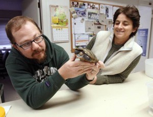 Still working to save turtles