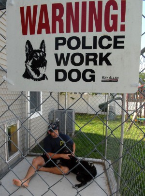 police dogs