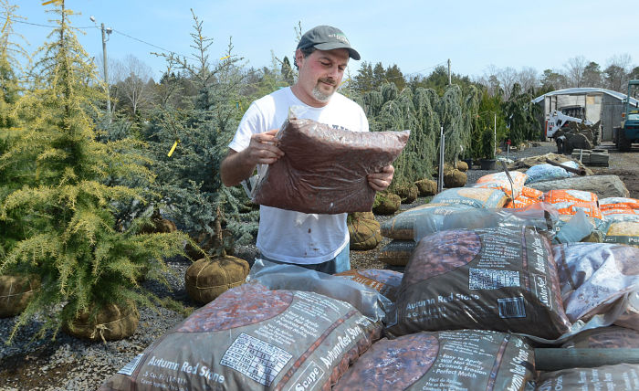 atlantic nursery