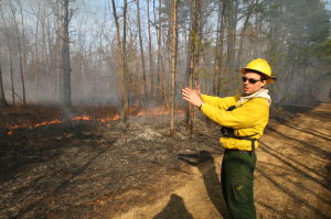 FORESTFIRE SEASON