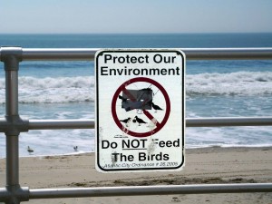 Boardwalk signs