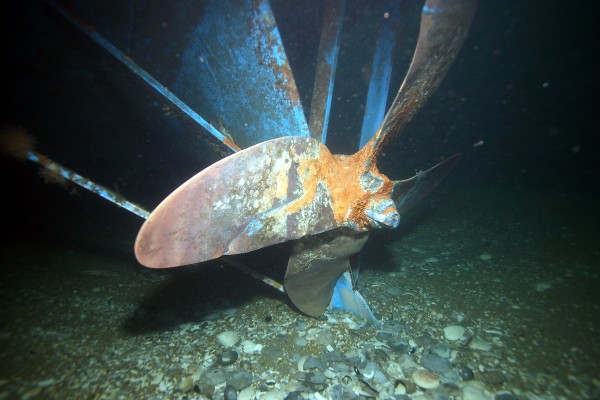 Lady Mary Wreck