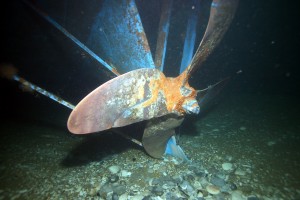 Lady Mary Wreck