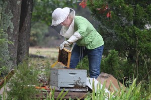 New Jersey Agricultre-Barbara Georgoulianos