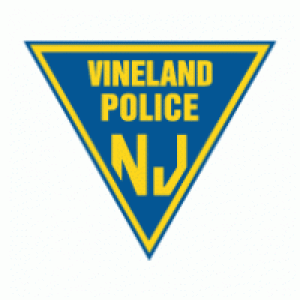vineland police icon