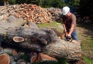 firewood