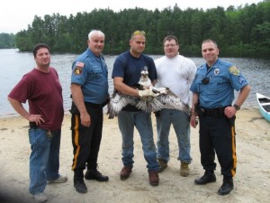 Hammonton bird