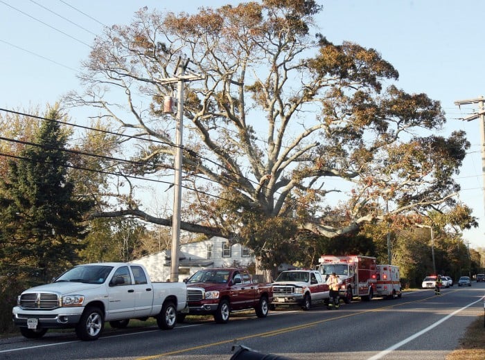 Tree Accident